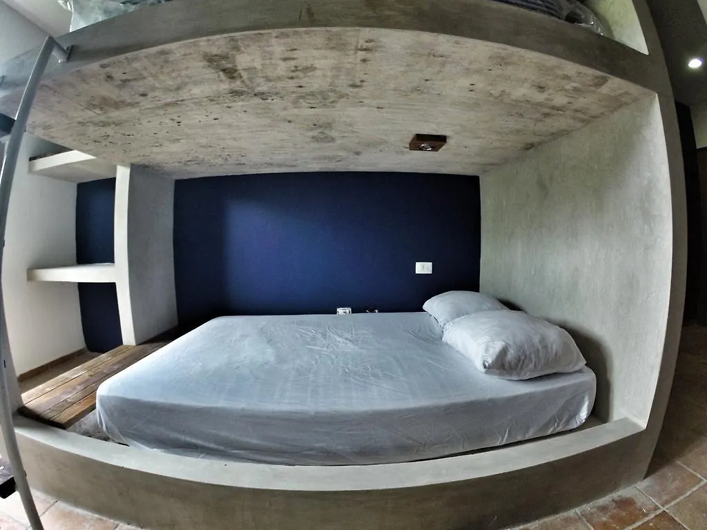 Lobo De Mar Hostel Πλάγια Ντελ Κάρμεν
