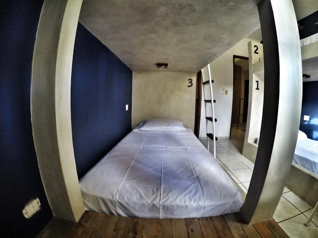 Lobo De Mar Hostel Πλάγια Ντελ Κάρμεν