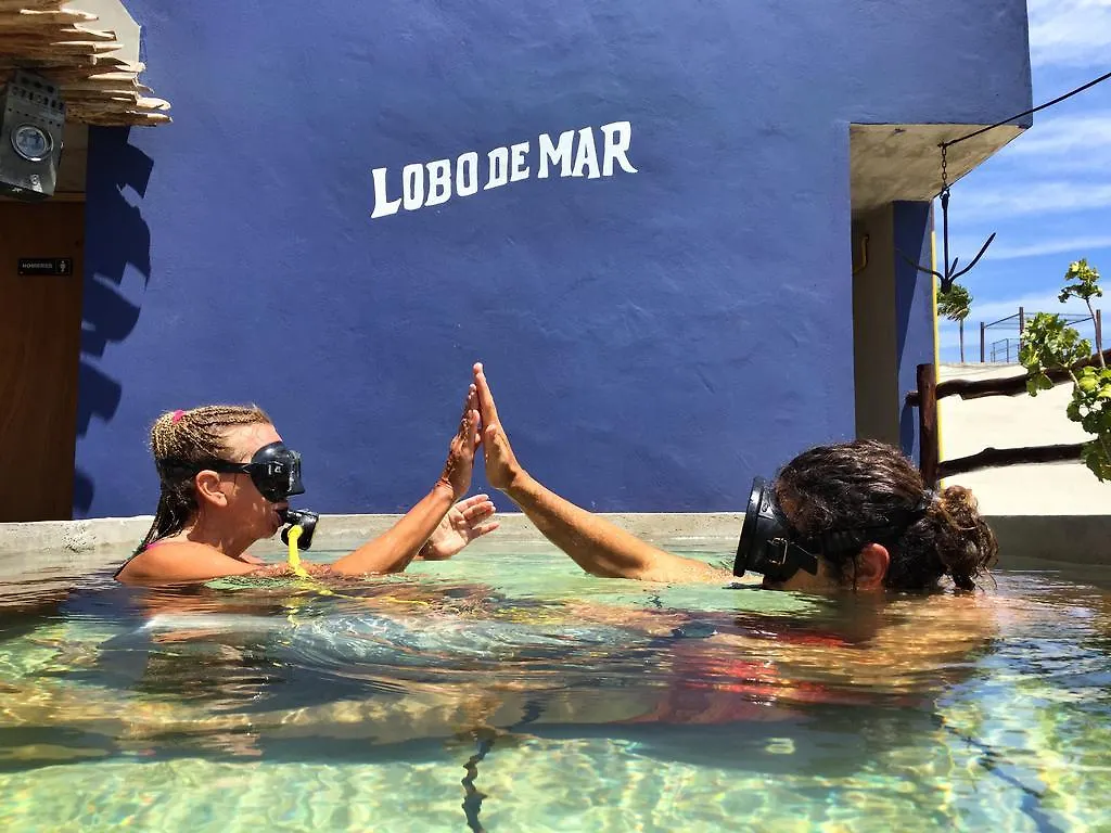 Lobo De Mar Hostel Πλάγια Ντελ Κάρμεν Μεξικό