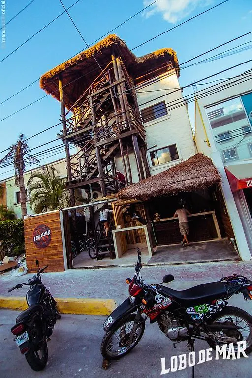 Lobo De Mar Hostel Πλάγια Ντελ Κάρμεν