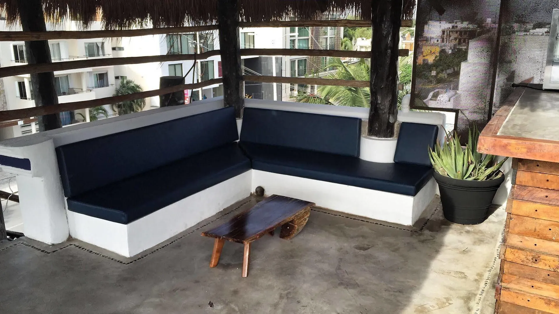 Lobo De Mar Hostel Πλάγια Ντελ Κάρμεν 0*,  Μεξικό